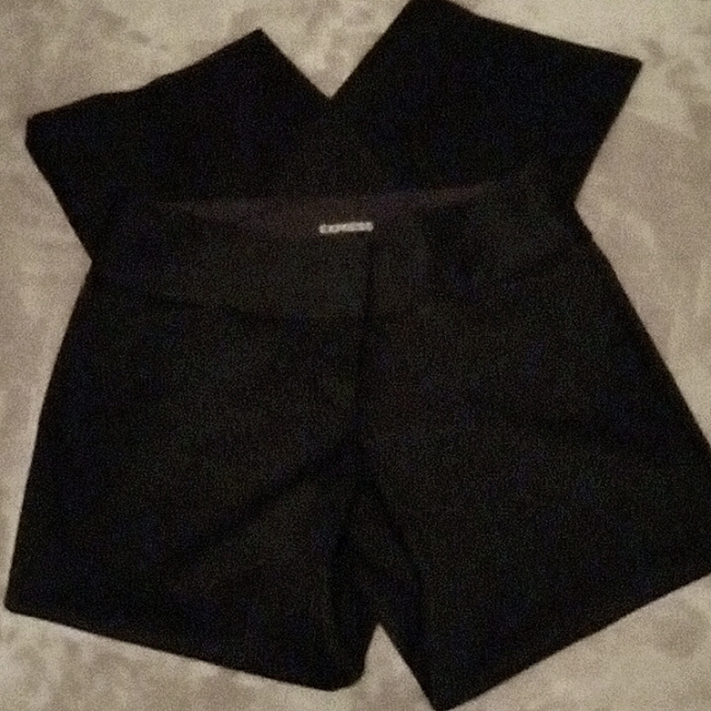 EXPRESS WIDE LEG DRESS PANTS